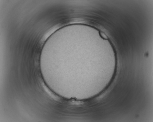 X0000115181137200911251350