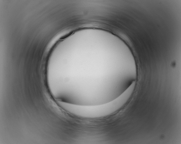 X0000115181138200911251350