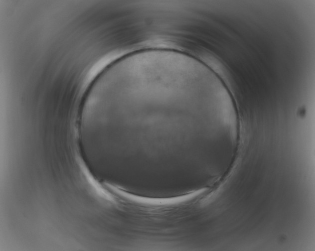 X0000115181141200911251350