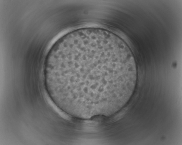 X0000115181142200911251350