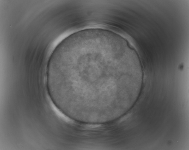 X0000115181143200911251350