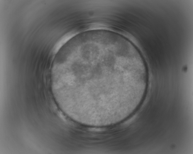 X0000115181145200911251350