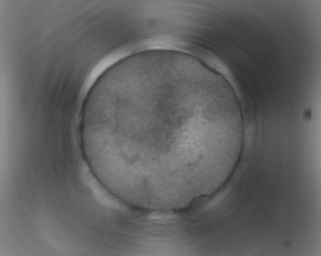 X0000115181146200911251350