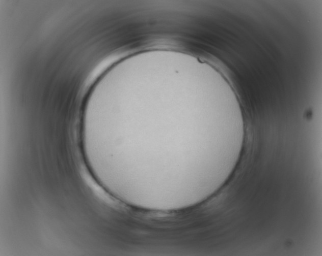 X0000115181147200911251350