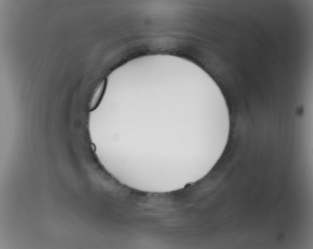 X0000115181153200911251350