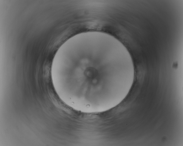 X0000115181154200911251350