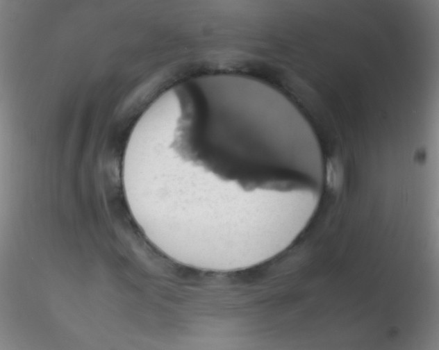 X0000115181155200911251350