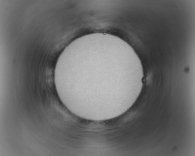 X0000115181156200911251350