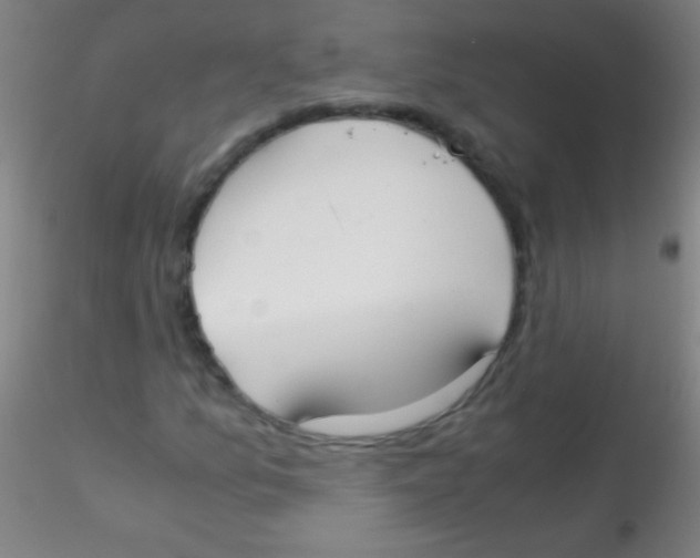 X0000115181157200911251350