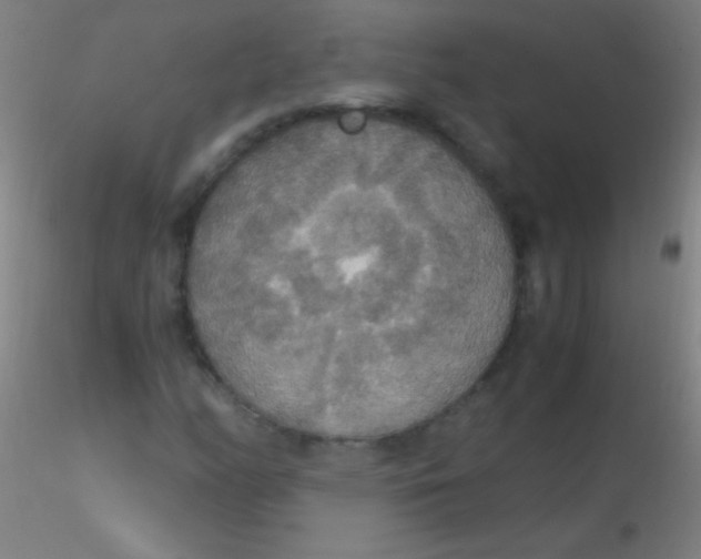 X0000115181158200911251350