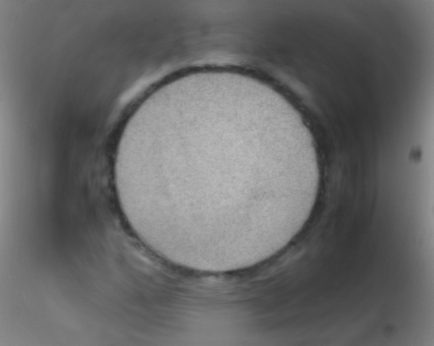 X0000115181160200911251350