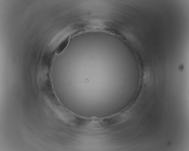 X0000115181161200911251350