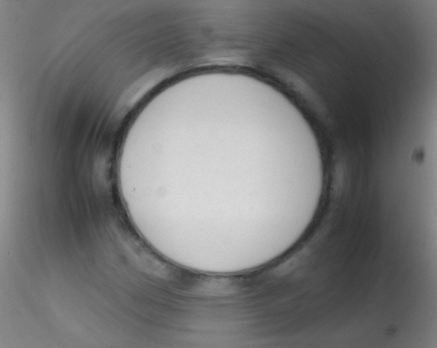 X0000115181162200911251350