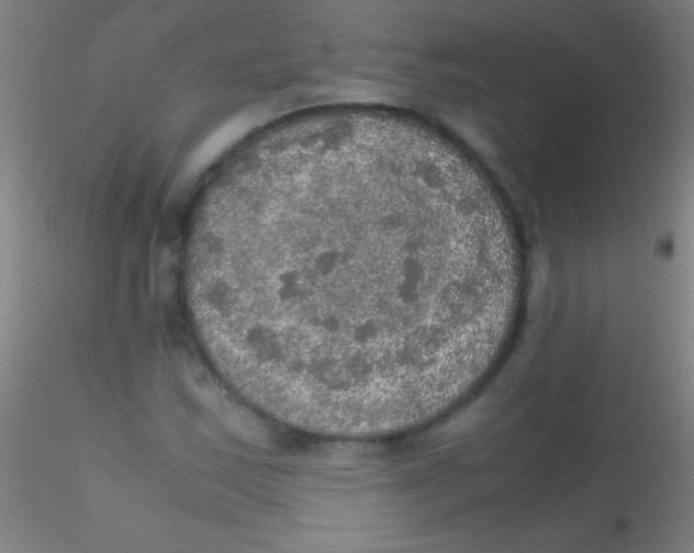 X0000115181163200911251350