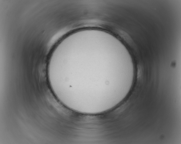 X0000115181164200911251350