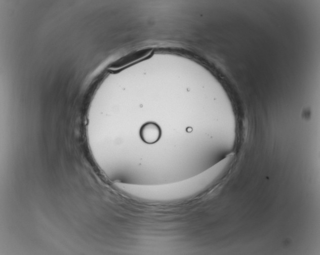 X0000115181165200911251350