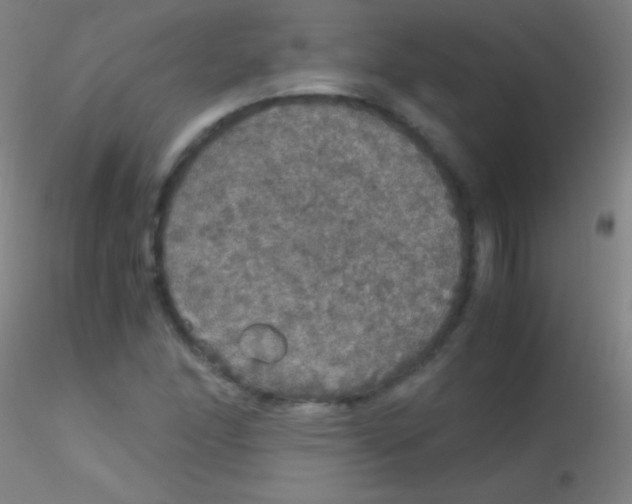 X0000115181166200911251350