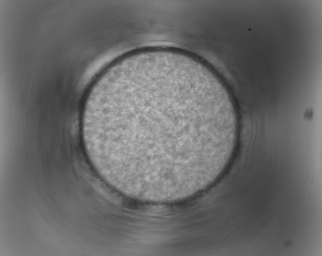 X0000115181167200911251350