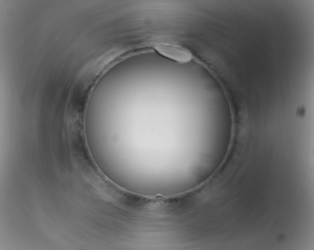X0000115181169200911251350