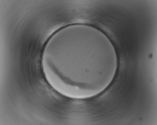 X0000115181170200911251350