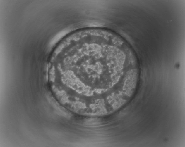X0000115181171200911251350