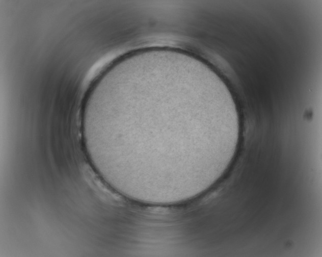 X0000115181172200911251350