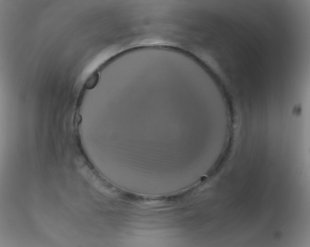 X0000115181173200911251350