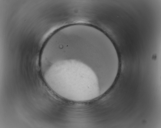 X0000115181174200911251350