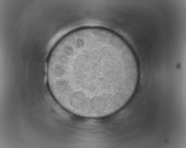 X0000115181175200911251350