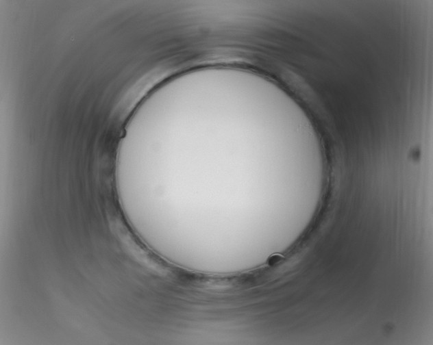 X0000115181177200911251350
