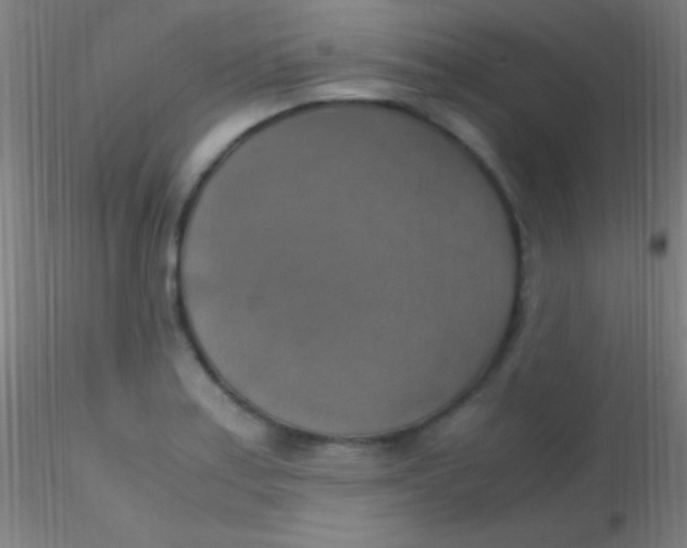 X0000115181179200911251350