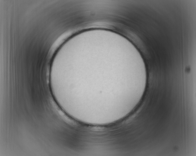 X0000115181180200911251350