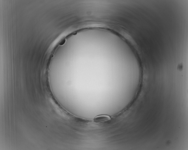 X0000115181181200911251350