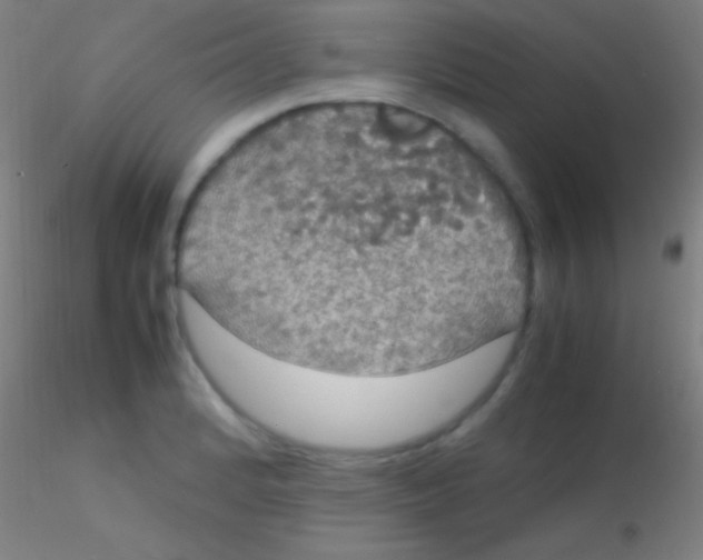 X0000115181184200911251349