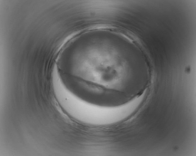X0000115181185200911251349