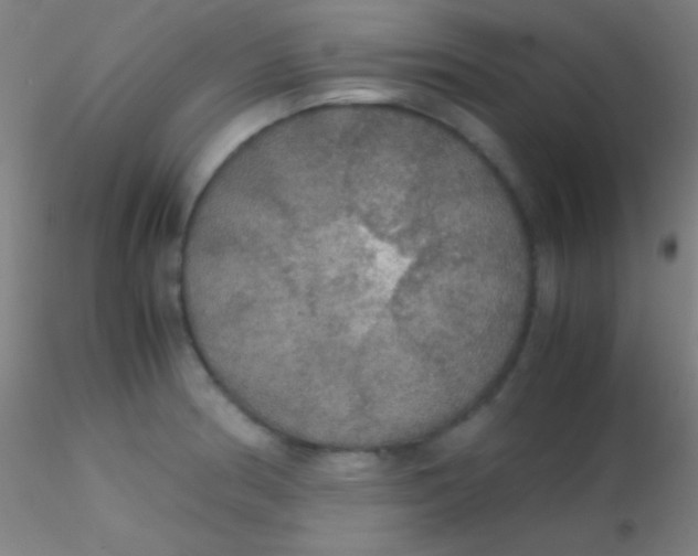 X0000115181186200911251349