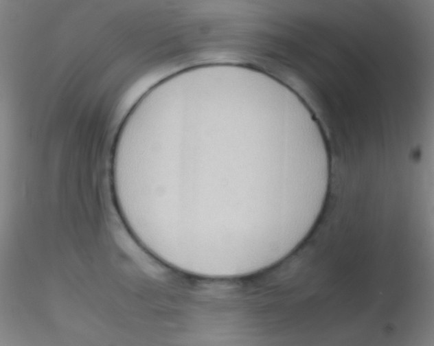 X0000115181187200911251349