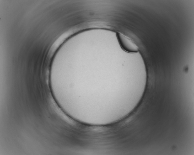 X0000115181188200911251349