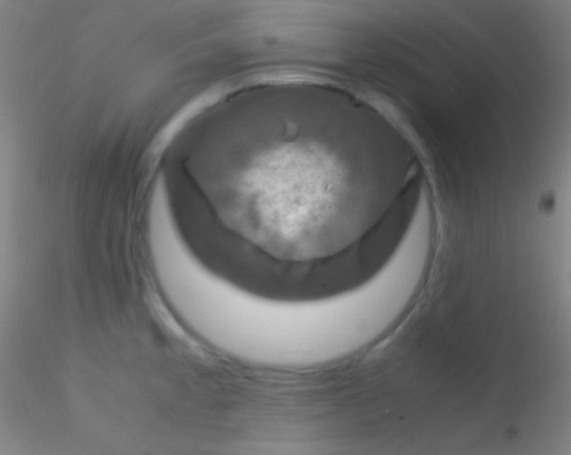X0000115181189200911251349