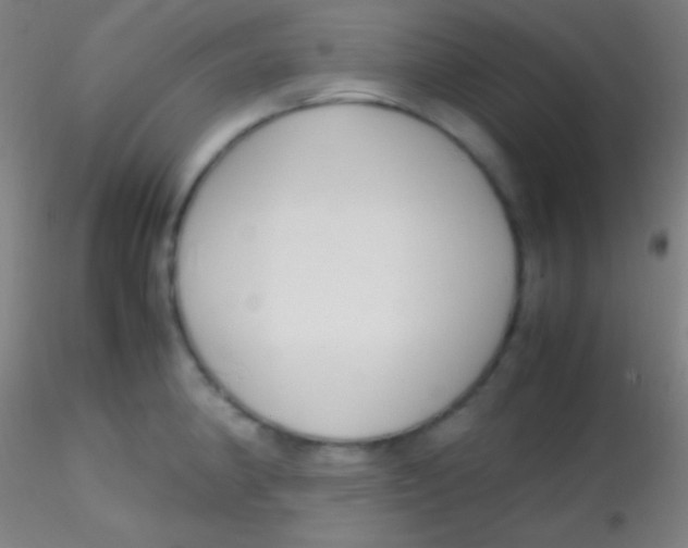 X0000115181190200911251349