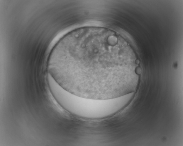 X0000115181192200911251349