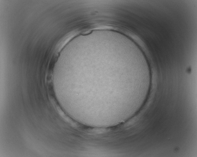 X0000115181193200911251349