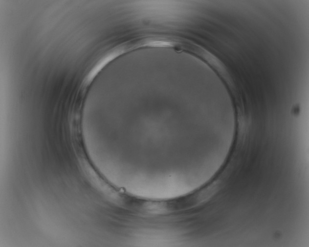 X0000115181194200911251349