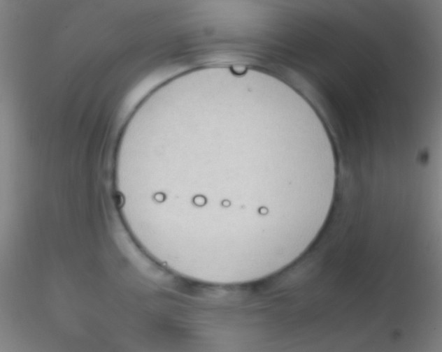 X0000115181195200911251349