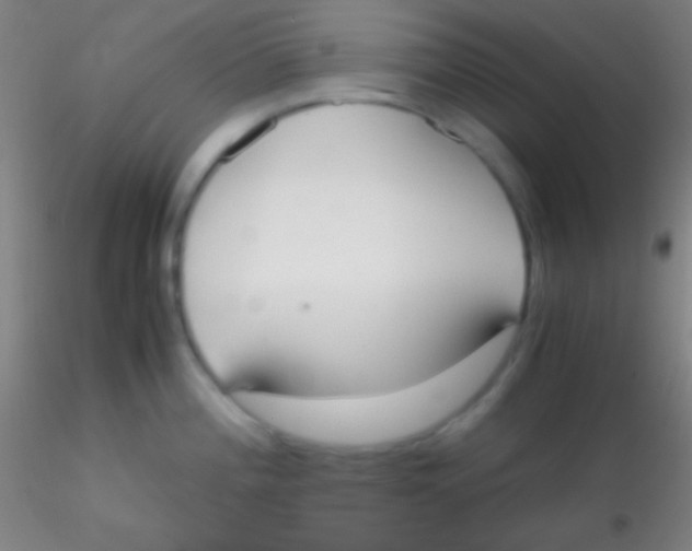 X0000115181196200911251349