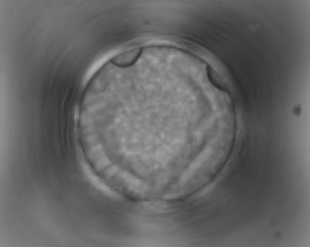 X0000115181198200911251349