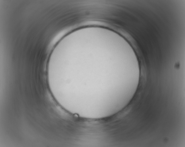 X0000115181199200911251349