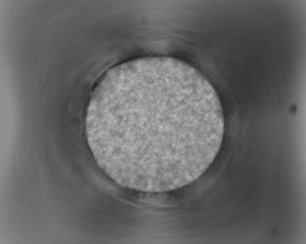 X0000115181201200911251348