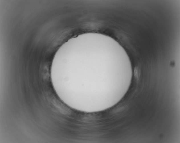 X0000115181203200911251348