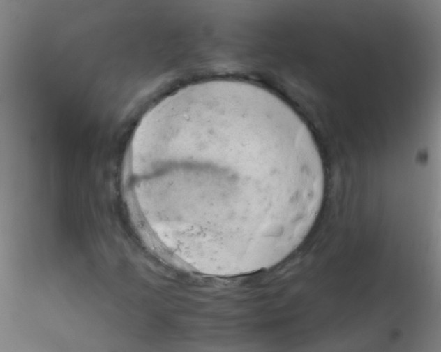 X0000115181205200911251348